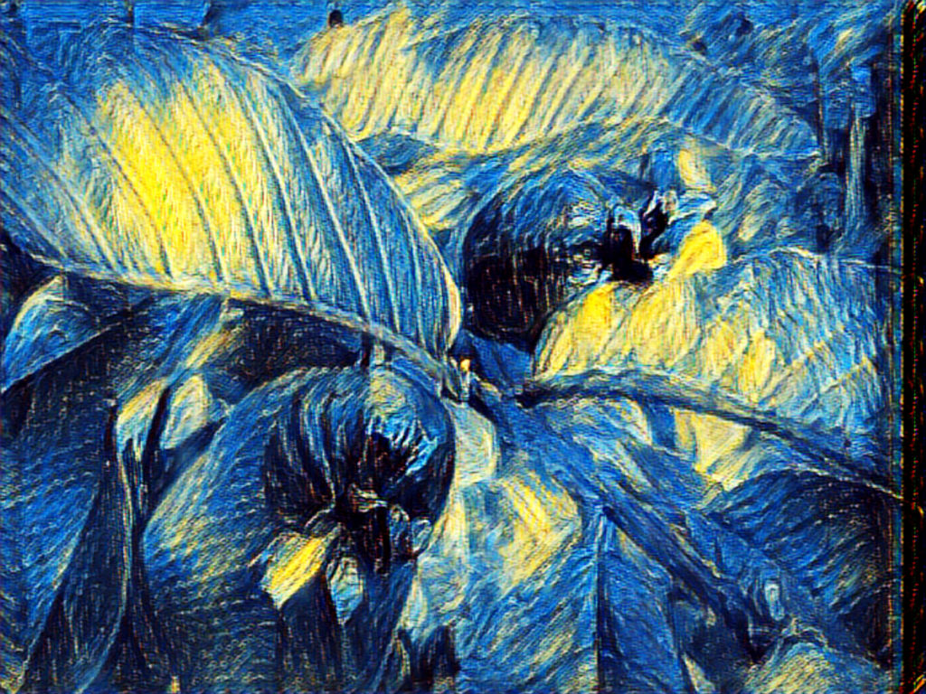 The Night of the Guavas