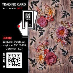 Turzo NFT CARD #00004