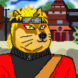 K-DOGE #6 Naruto