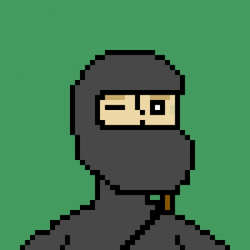 Ninja ape #0017/1000