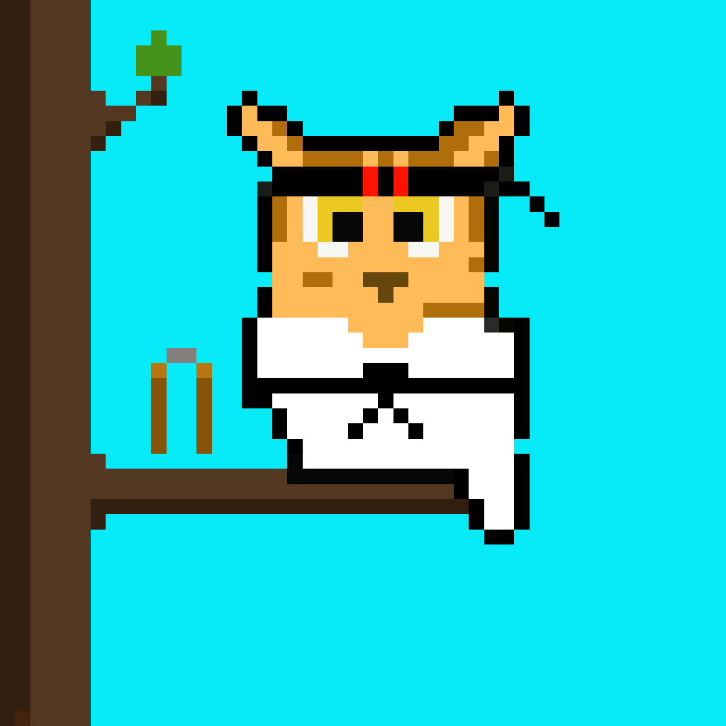 #62 Karate Crypto Pixel Owl (Animated)