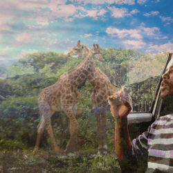 Afrika Country Mashup