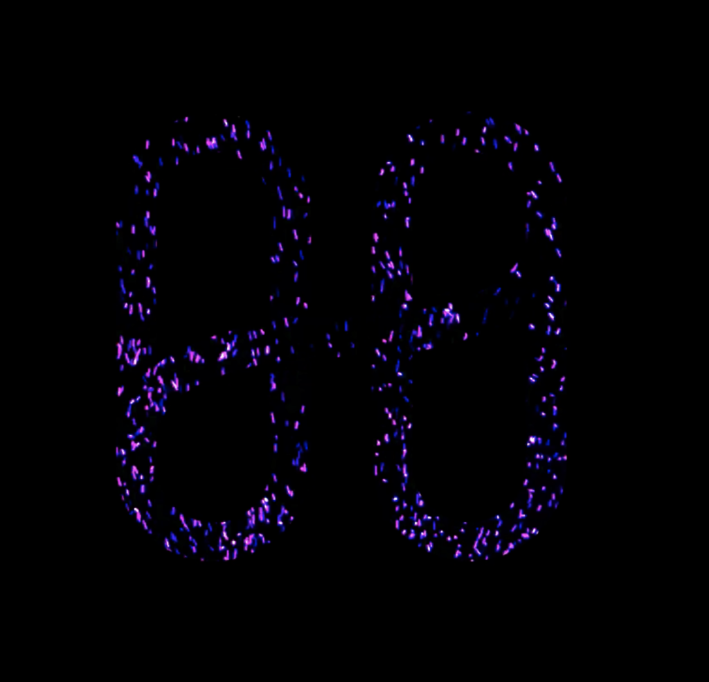 ONE Purple Particles