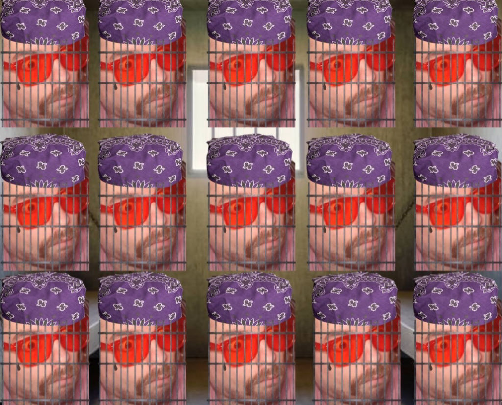 Certified Farmer Boy 10