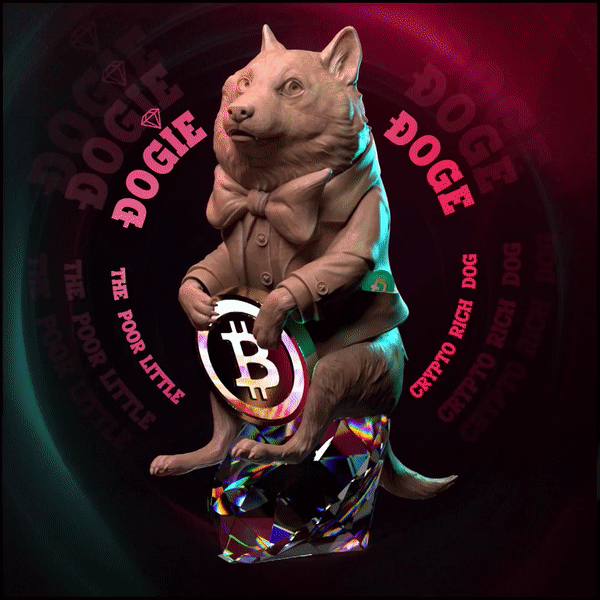 The Poor Little Crypto Rich Dog