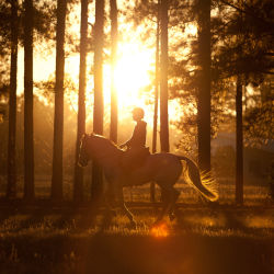 Eventing Practice (IMG_1998)