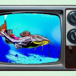 AQUARIUM ART TV #19