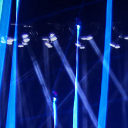 Blue Night Lights #3