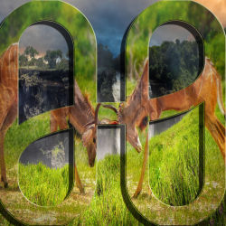 Chinotimba, Victoria Falls