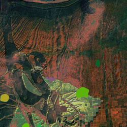 The Cat That Is Sad And Blue.