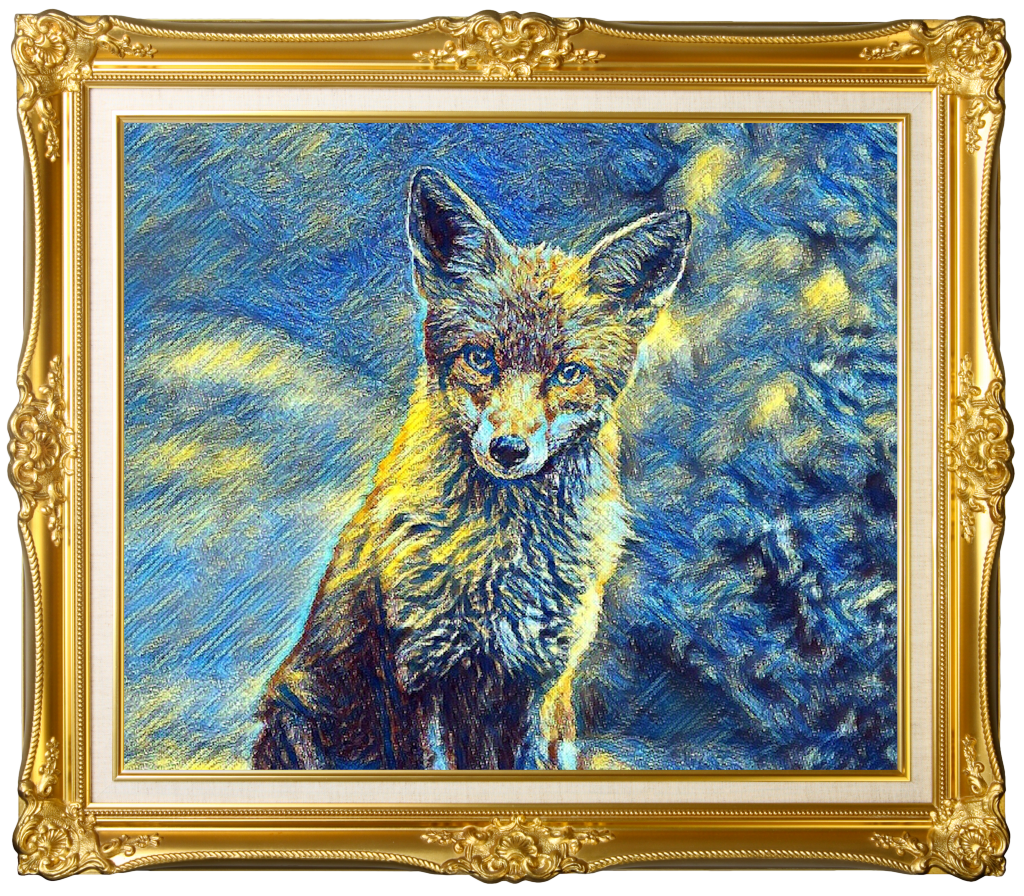 Starry Night: Curious Fox