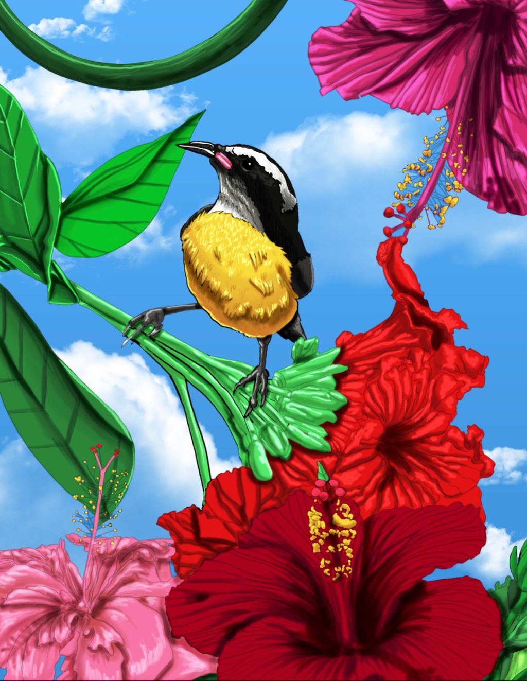 Reinita Puertorriqueña