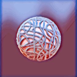 AR : DD1118dgd611254767