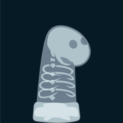 #85 X-ray Sock
