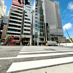 Life in Japan #4 - Lonely Crosswalk