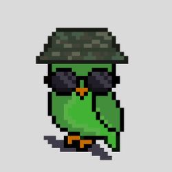 OWLpixel#034