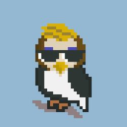 OWLpixel#072