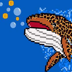 Whale Crypto #6