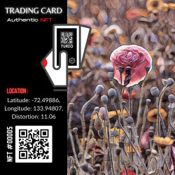Turzo NFT CARD #00005