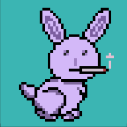 PunkRabbit #061 HPD  #6542