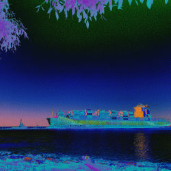 The Golden Ship of Paulo