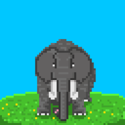 Elefante