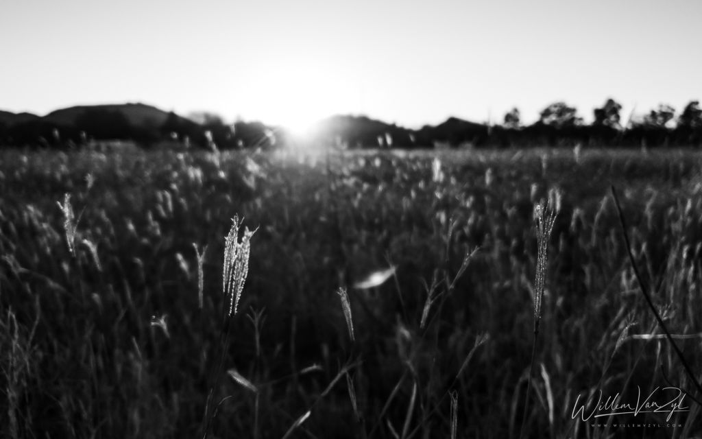Black & White Sunset in Bethulie
