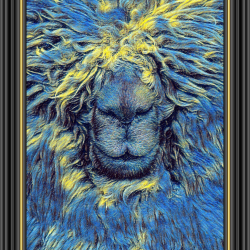 Starry Night: Your Cozy Friend