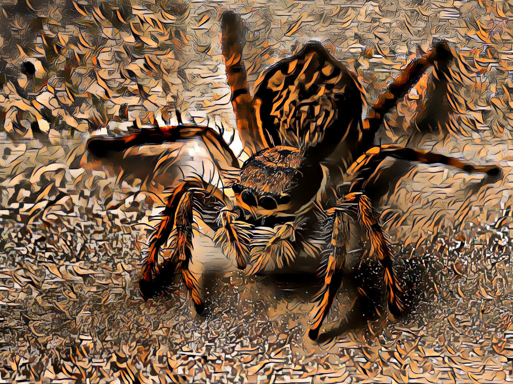 Premium Tarantula