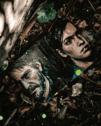 Joel & Ellie - Collectibles #1