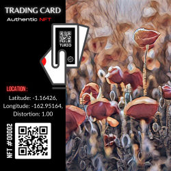 Turzo NFT CARD #00002