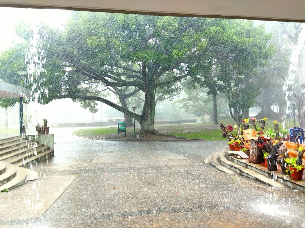 Rainy day in the Park