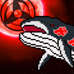 Whale Crypto #19 Akatsuki Itachi