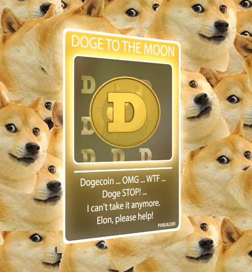 Doge to the MOON!