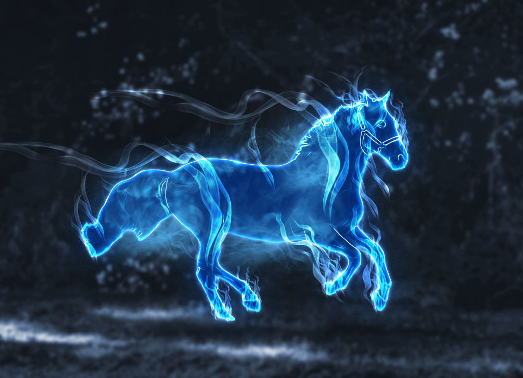 HORSE - PATRONUS #2